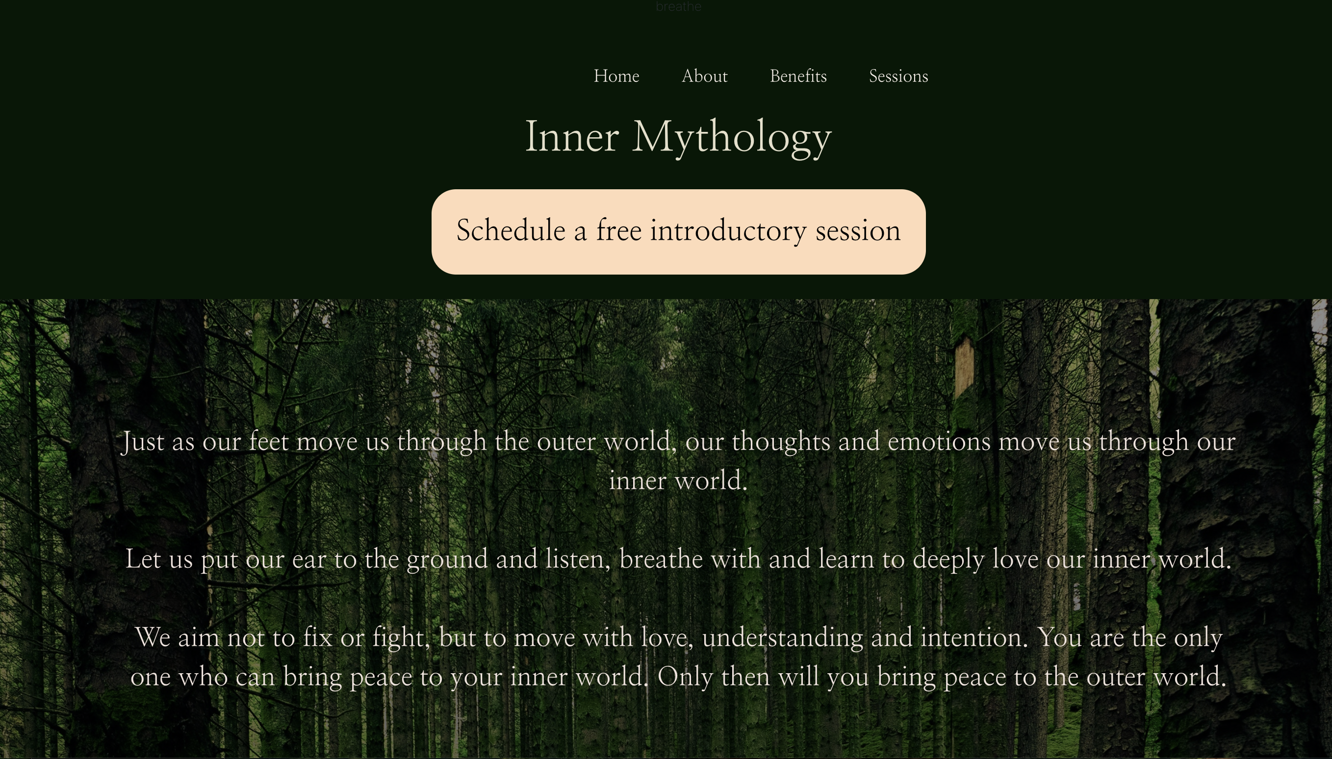 Before: Original website